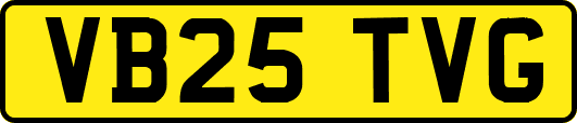 VB25TVG