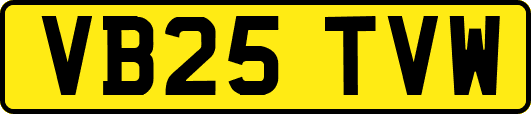 VB25TVW