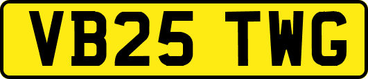 VB25TWG