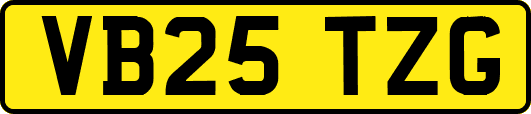 VB25TZG