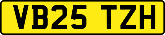 VB25TZH