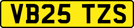 VB25TZS