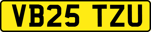 VB25TZU