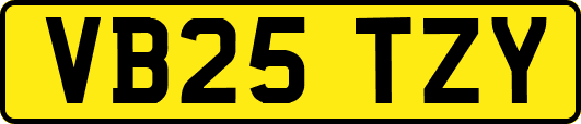 VB25TZY