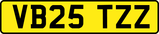 VB25TZZ