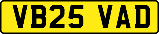 VB25VAD