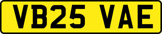 VB25VAE