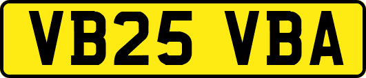 VB25VBA