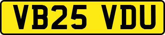 VB25VDU