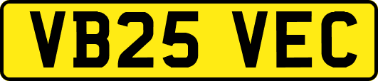 VB25VEC