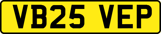 VB25VEP