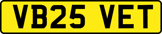 VB25VET