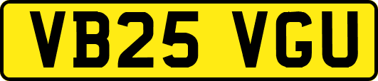 VB25VGU