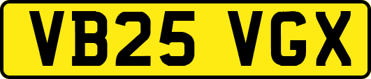 VB25VGX