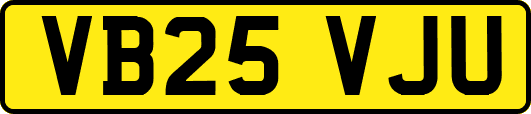 VB25VJU