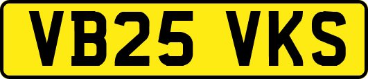 VB25VKS
