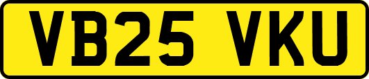 VB25VKU