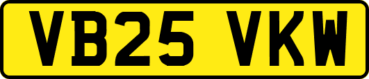 VB25VKW
