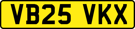 VB25VKX