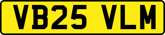 VB25VLM