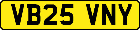 VB25VNY