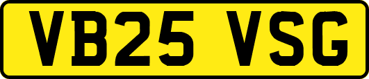 VB25VSG