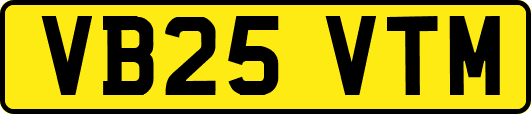 VB25VTM