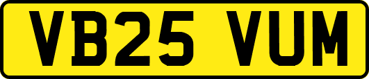 VB25VUM