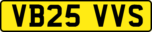 VB25VVS