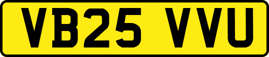 VB25VVU