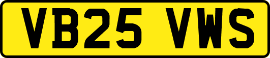 VB25VWS