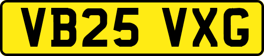VB25VXG
