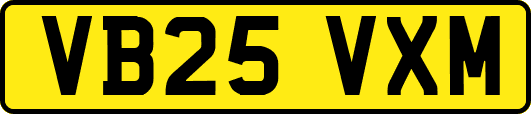 VB25VXM