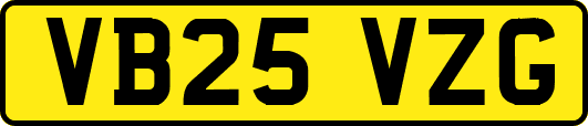 VB25VZG