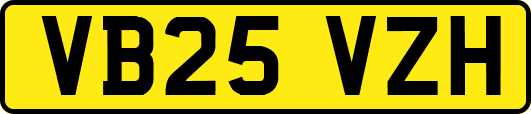VB25VZH