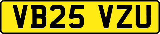 VB25VZU