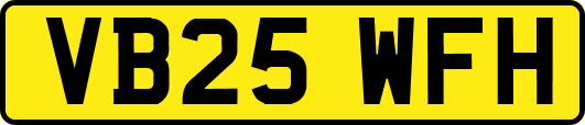 VB25WFH