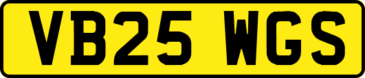 VB25WGS