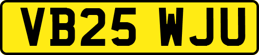 VB25WJU