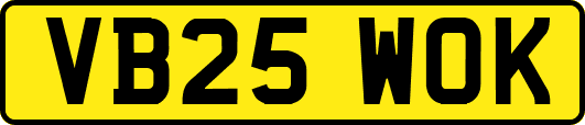 VB25WOK