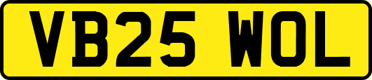 VB25WOL