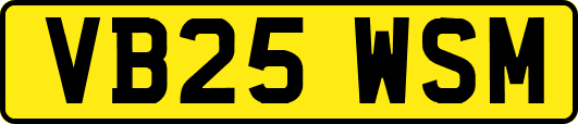 VB25WSM