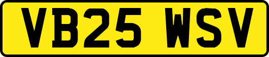 VB25WSV