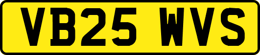 VB25WVS