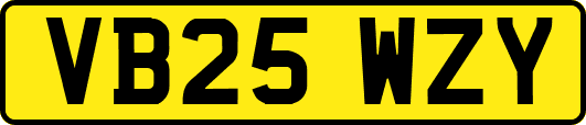 VB25WZY