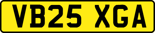 VB25XGA
