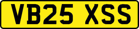 VB25XSS