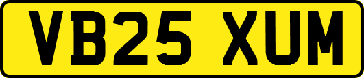 VB25XUM