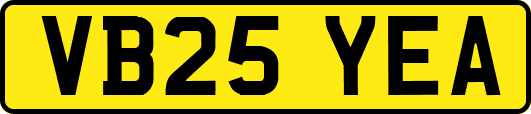 VB25YEA