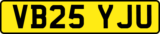 VB25YJU